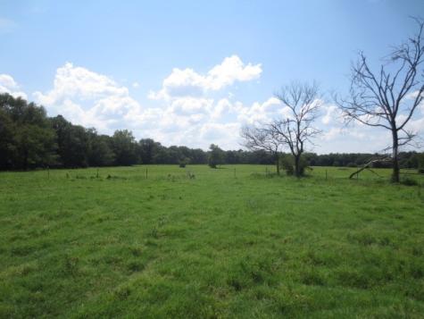 143 Piney Woods Road Trinity TX 75862