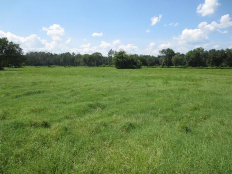 143 Piney Woods Road Trinity TX 75862