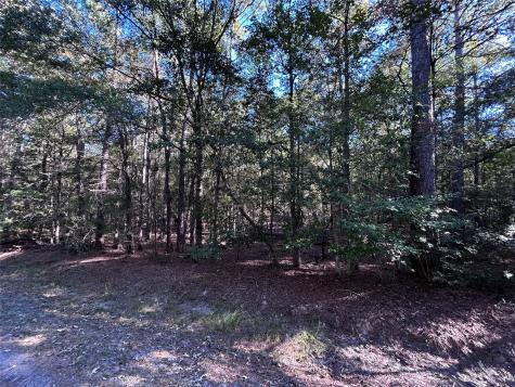 Lot 16 Hackberry Drive Village Mills TX 77663