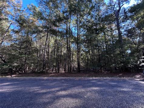 Lot 16 Hackberry Drive Village Mills TX 77663