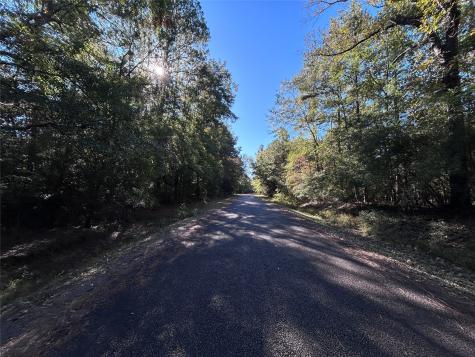 Lot 16 Hackberry Drive Village Mills TX 77663