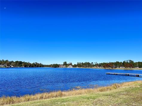 Lot 16 Hackberry Drive Village Mills TX 77663