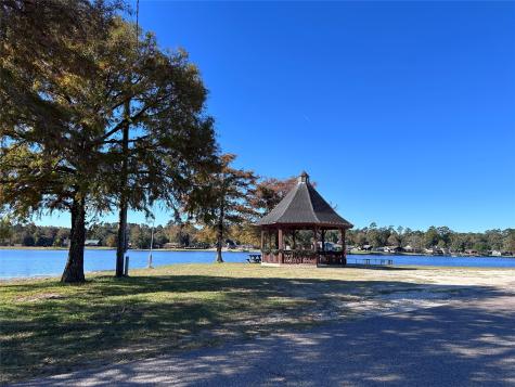 Lot 16 Hackberry Drive Village Mills TX 77663