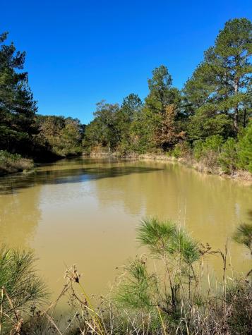 31517 Bohlssen Road New Caney TX 77357