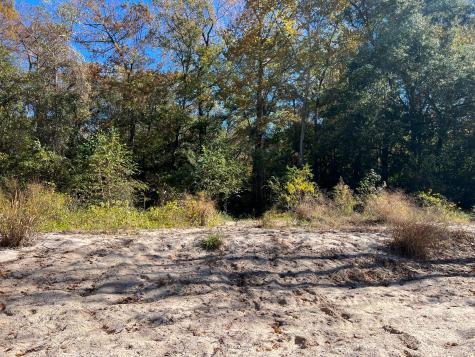 31517 Bohlssen Road New Caney TX 77357