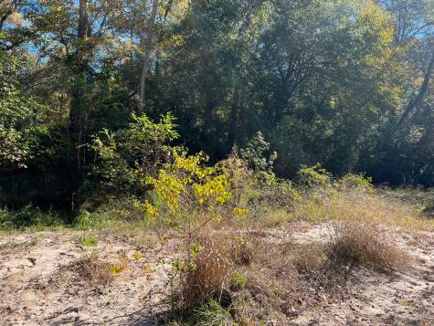 31517 Bohlssen Road New Caney TX 77357