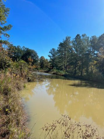 31517 Bohlssen Road New Caney TX 77357