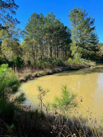 31517 Bohlssen Road New Caney TX 77357