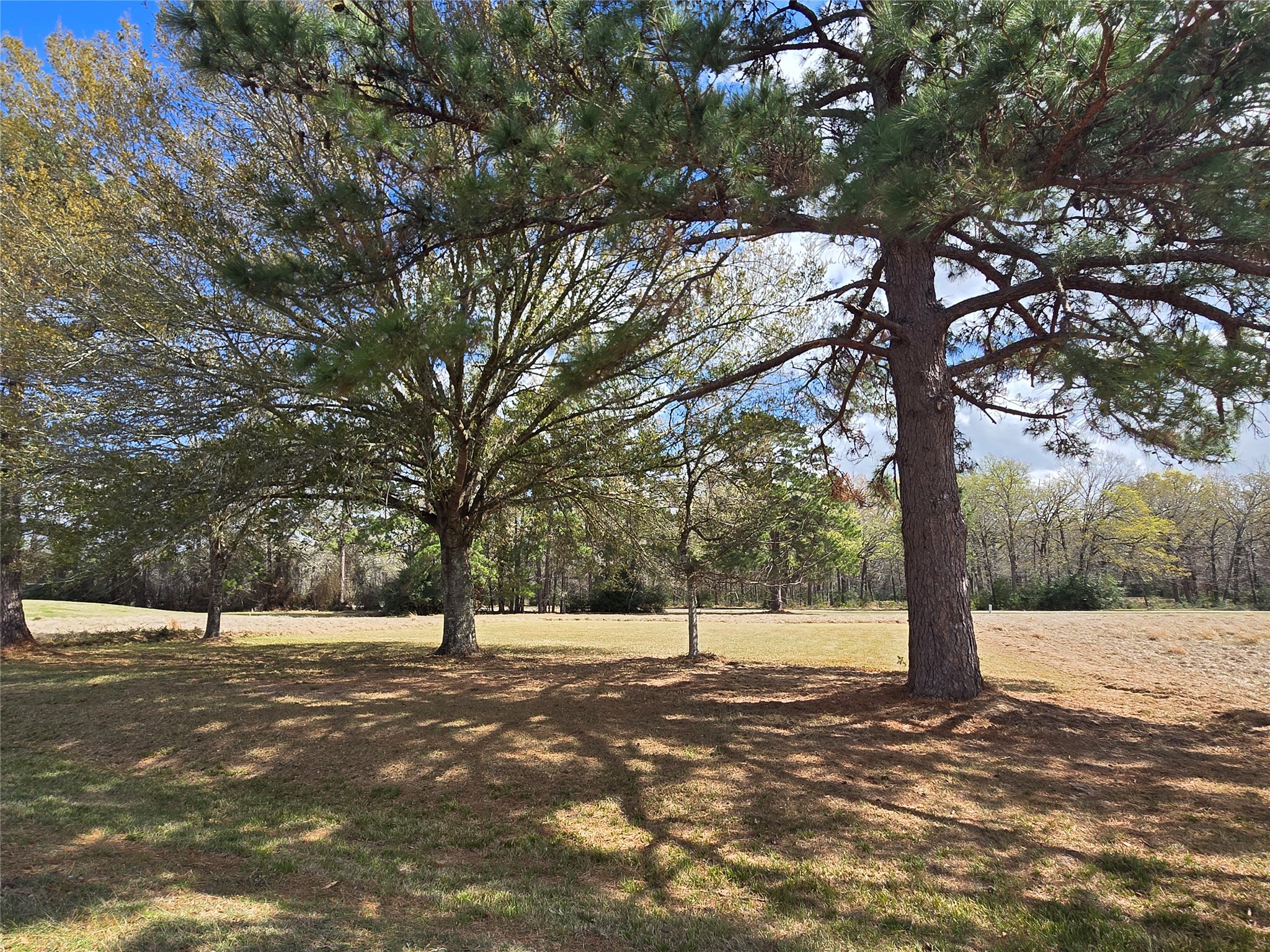 Tbd New Orleans Avenue Trinity TX 75862