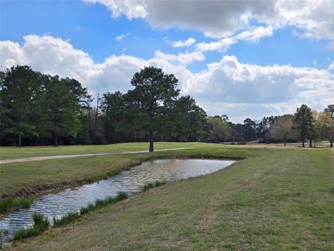 Tbd New Orleans Avenue Trinity TX 75862