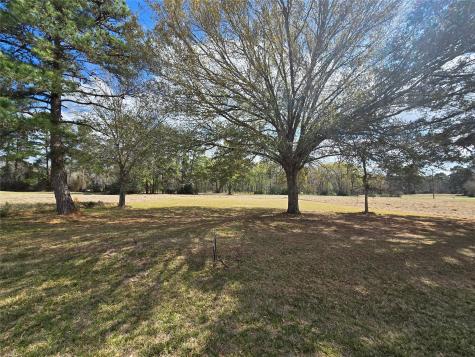 Tbd New Orleans Avenue Trinity TX 75862