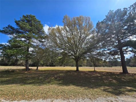 Tbd New Orleans Avenue Trinity TX 75862