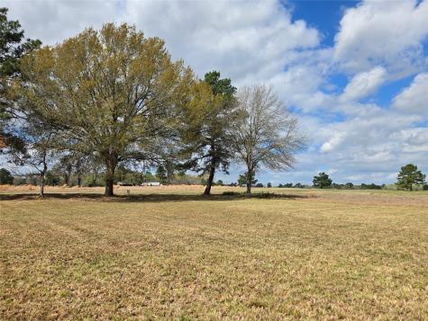 Tbd New Orleans Avenue Trinity TX 75862