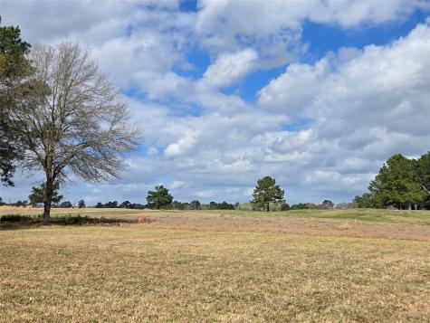 Tbd New Orleans Avenue Trinity TX 75862