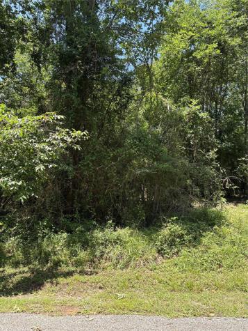 Tbd Lake Drive Onalaska TX 77360