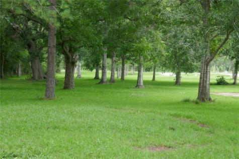 2719 County Road 510 Brazoria TX 77422