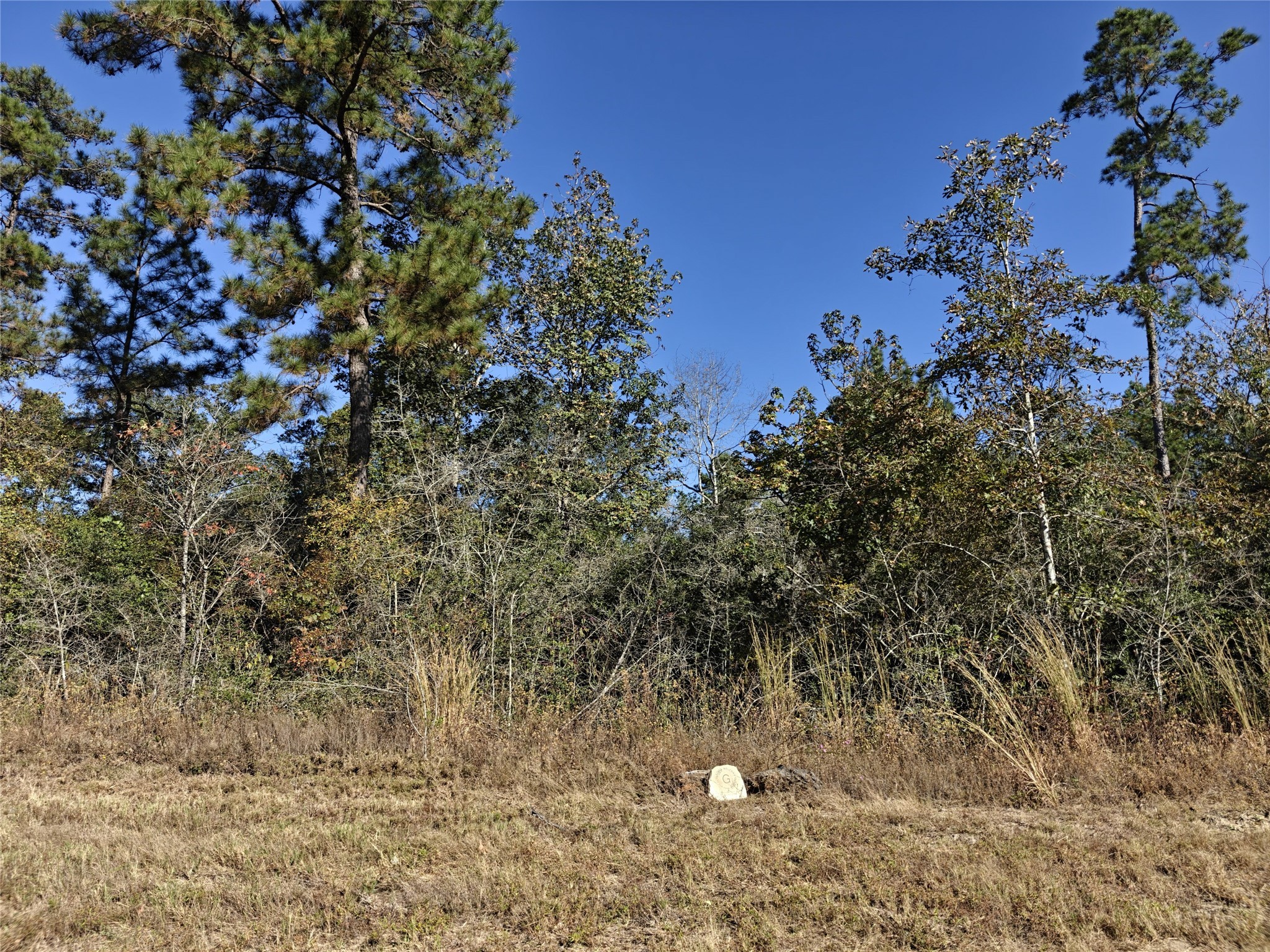 357 Iron Horse Road New Waverly TX 77358