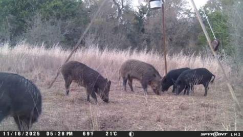 0 Lcr 258 Mexia TX 76667