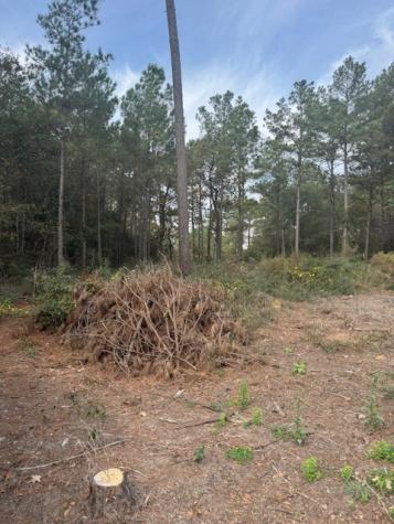 0 Basswood Lane Plantersville TX 77363