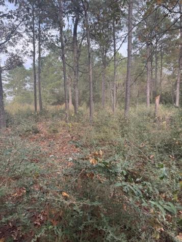 0 Basswood Lane Plantersville TX 77363
