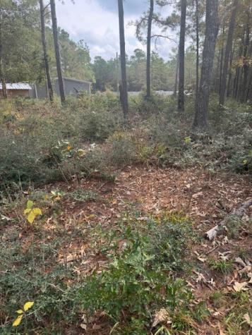 0 Basswood Lane Plantersville TX 77363