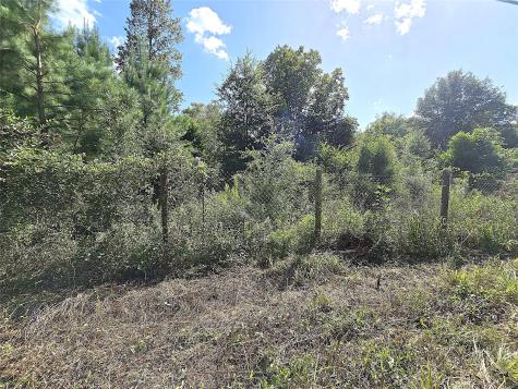 Tbd Margie Drive Livingston TX 77351