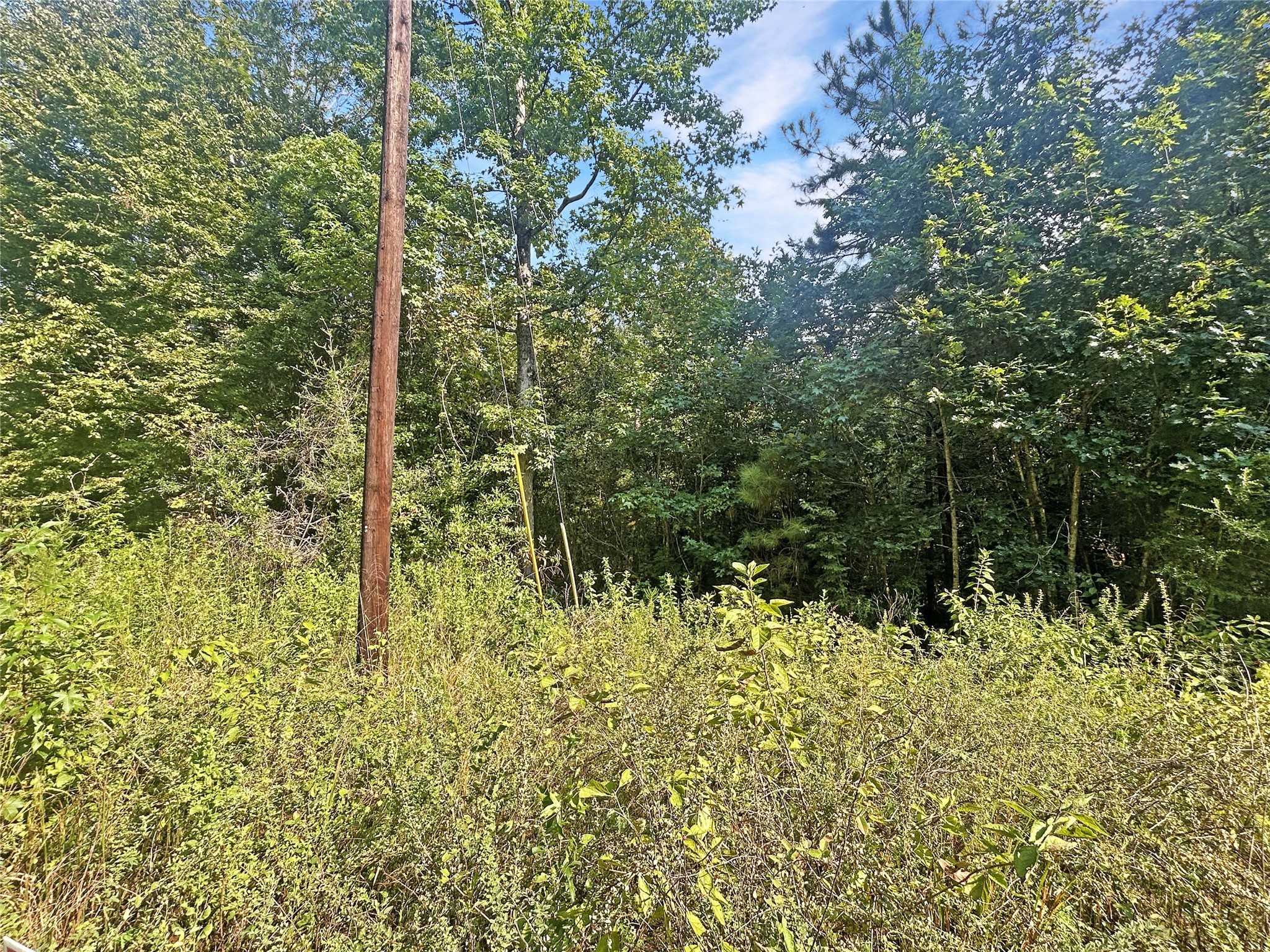 360 Private Road 6152 Woodville TX 75979