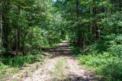 Tbd Co Road 3000 Woodville TX 75979