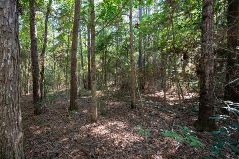 Tbd Co Road 3000 Woodville TX 75979
