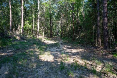 Tbd Co Road 3000 Woodville TX 75979