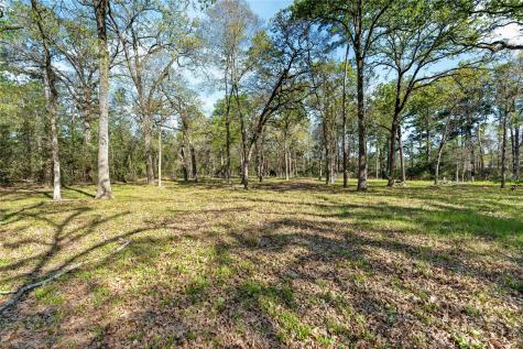 19739 E Lakeshore Drive Magnolia TX 77355