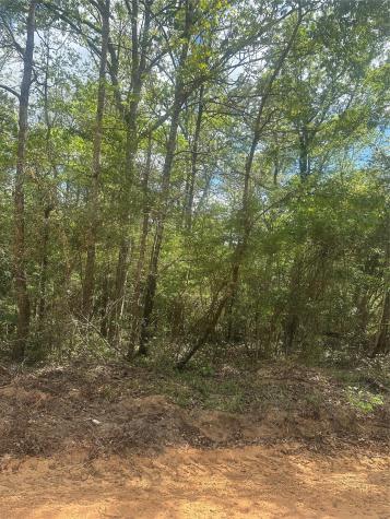 00 Patricia Drive Livingston TX 77351