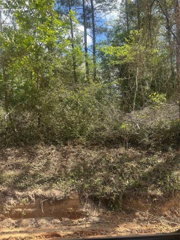 00 Patricia Drive Livingston TX 77351