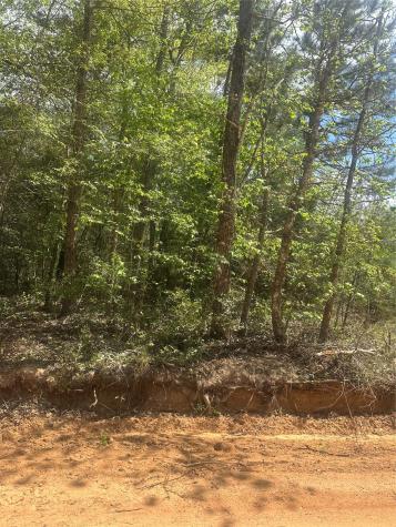 00 Patricia Drive Livingston TX 77351
