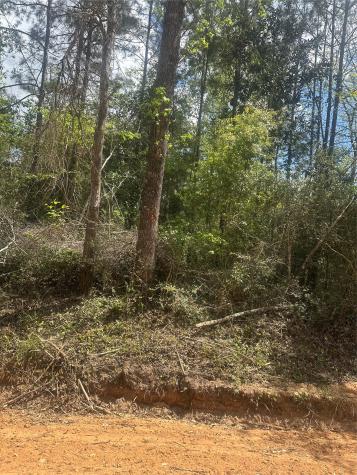 00 Patricia Drive Livingston TX 77351