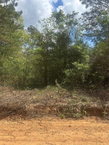 00 Patricia Drive Livingston TX 77351
