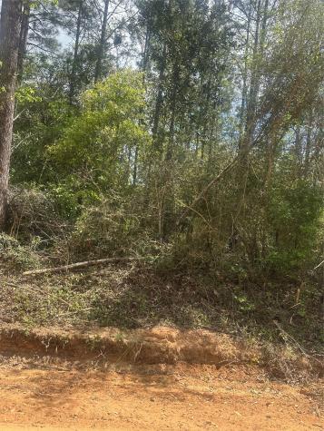 00 Patricia Drive Livingston TX 77351