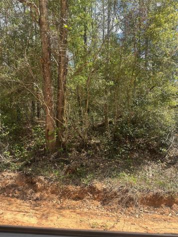 00 Patricia Drive Livingston TX 77351