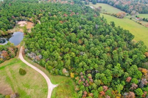 0 Belinowski Road New Waverly TX 77358