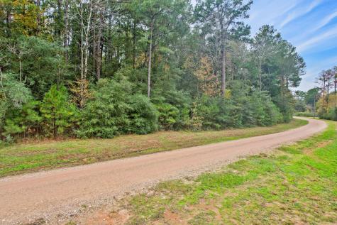 0 Belinowski Road New Waverly TX 77358