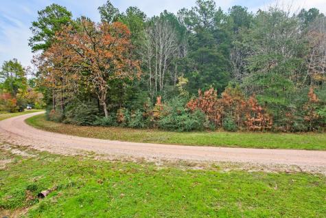 0 Belinowski Road New Waverly TX 77358
