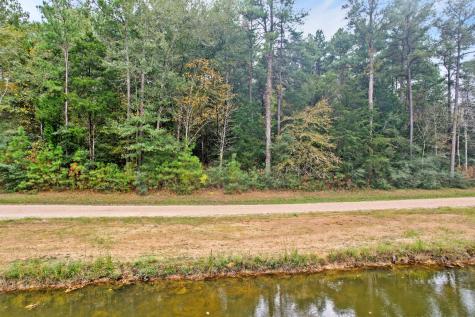 0 Belinowski Road New Waverly TX 77358