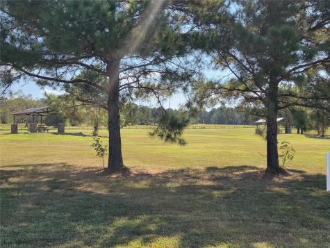 10928 Ruger Road Willis TX 77378