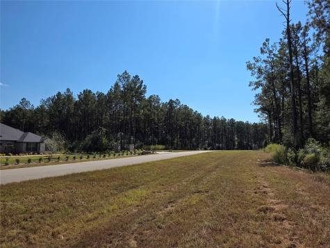 10928 Ruger Road Willis TX 77378