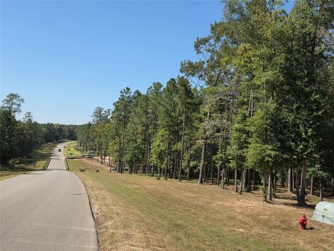 10928 Ruger Road Willis TX 77378