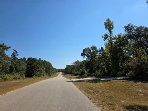 10928 Ruger Road Willis TX 77378