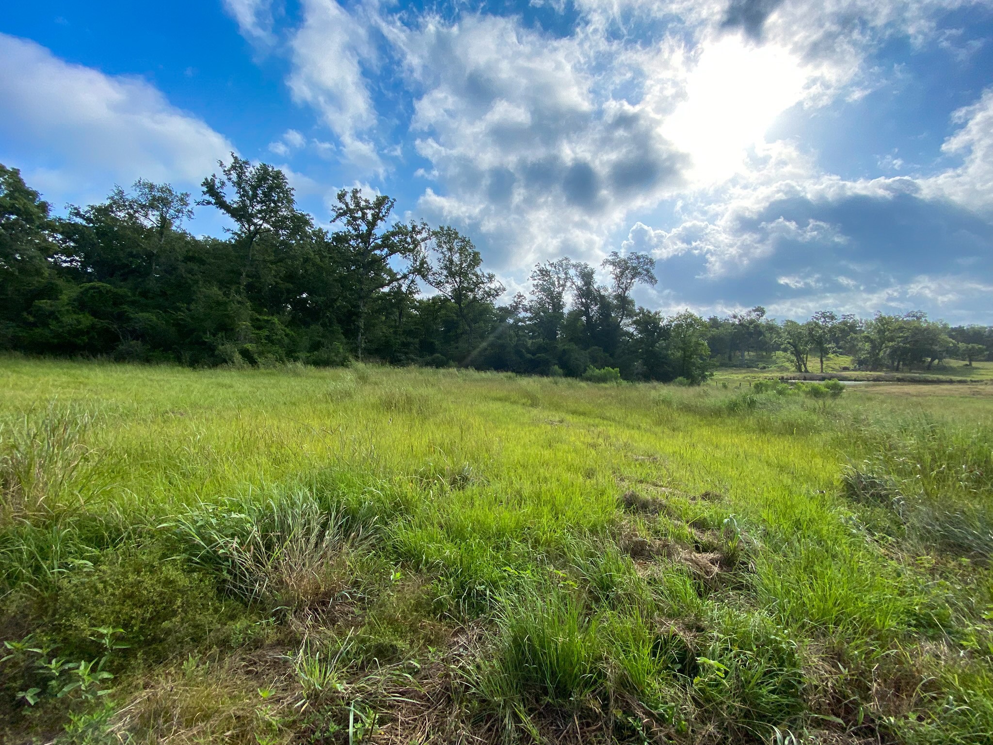 Tract 7 & 8 County Road 426 Marquez TX 77865