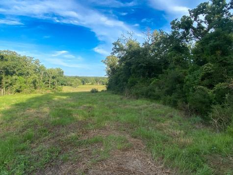 Tract 7 & 8 County Road 426 Marquez TX 77865