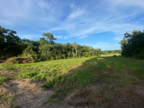 Tract 7 & 8 County Road 426 Marquez TX 77865