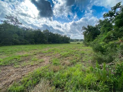 Tract 7 & 8 County Road 426 Marquez TX 77865